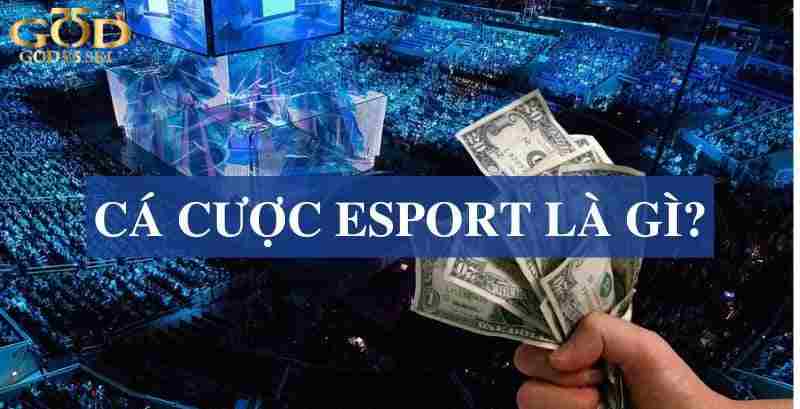 Giới thiệu sơ lược cá cược Esports tại god55